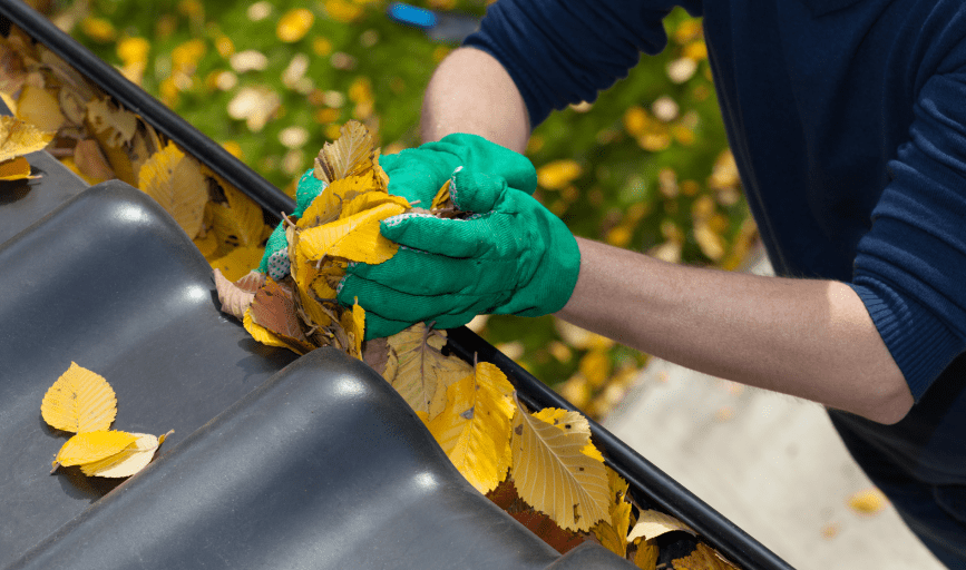 SNM Pressure Washing